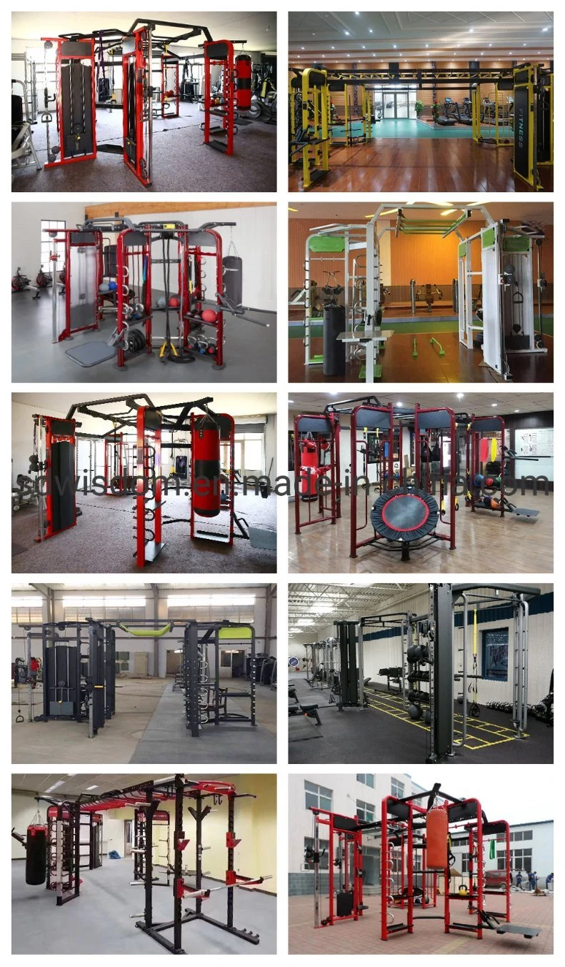 Ms1017 Bodybuilding Sports Gym Fitness Machine Commercial Gym Equipment Strength Rotary Torso Trainer Fitness Gym Machine