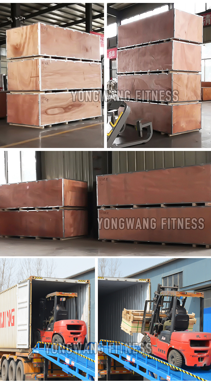 Yongwang High Quality Best Sale Adjustable Abdominal Bench