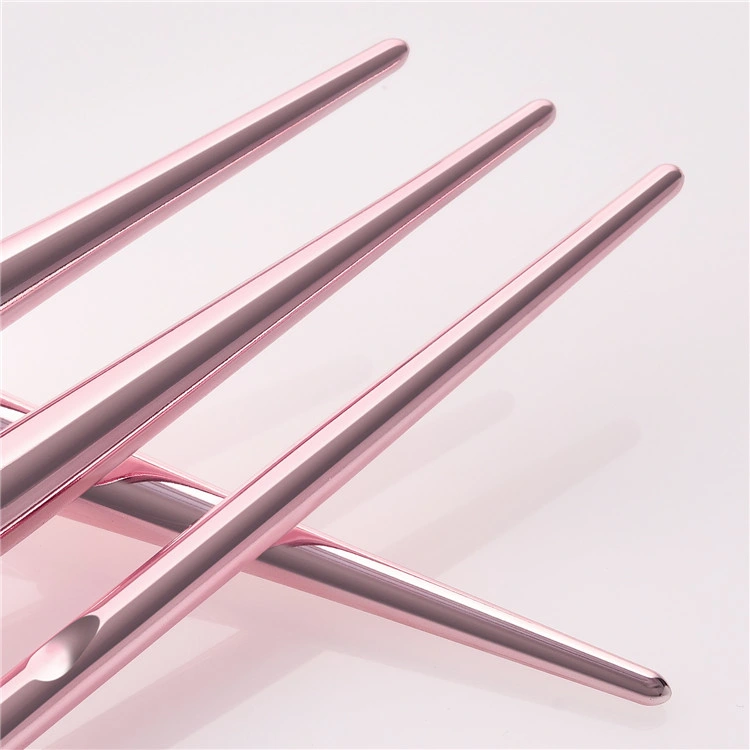 Makeup Brushes Set 10PCS for Makeup