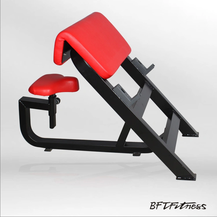 Arm Curl Bench/Scott Bench/Bicep training Bench (BFT-3033)