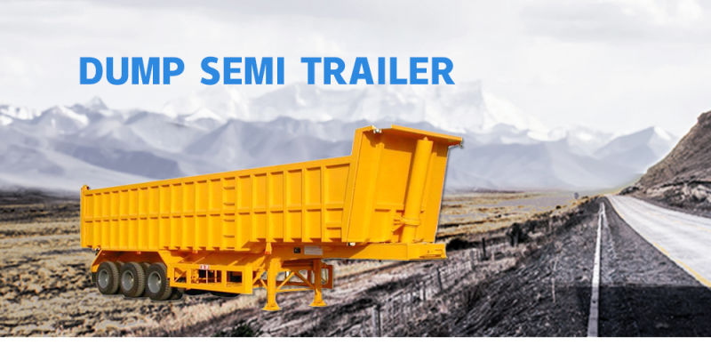 Luen Heavy Duty Cargo Trailer Dump Semi Trailer Truck Trailer for Sale