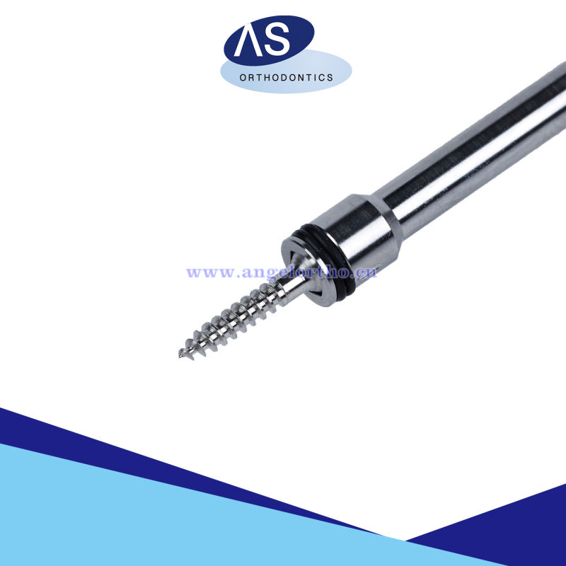 Dental Orthodontic Mini Implants with High Quality
