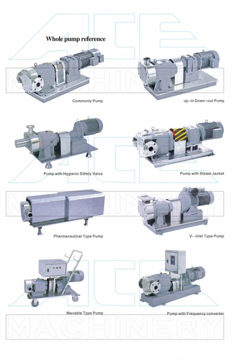 Oil Water Pump Rotor Magnet Injector Pump Rotor Head Eccentric Rotor Pump