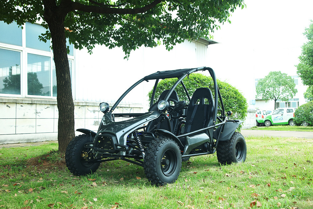 150cc 200cc Balance Shaft Engine Buggy and Go Kart