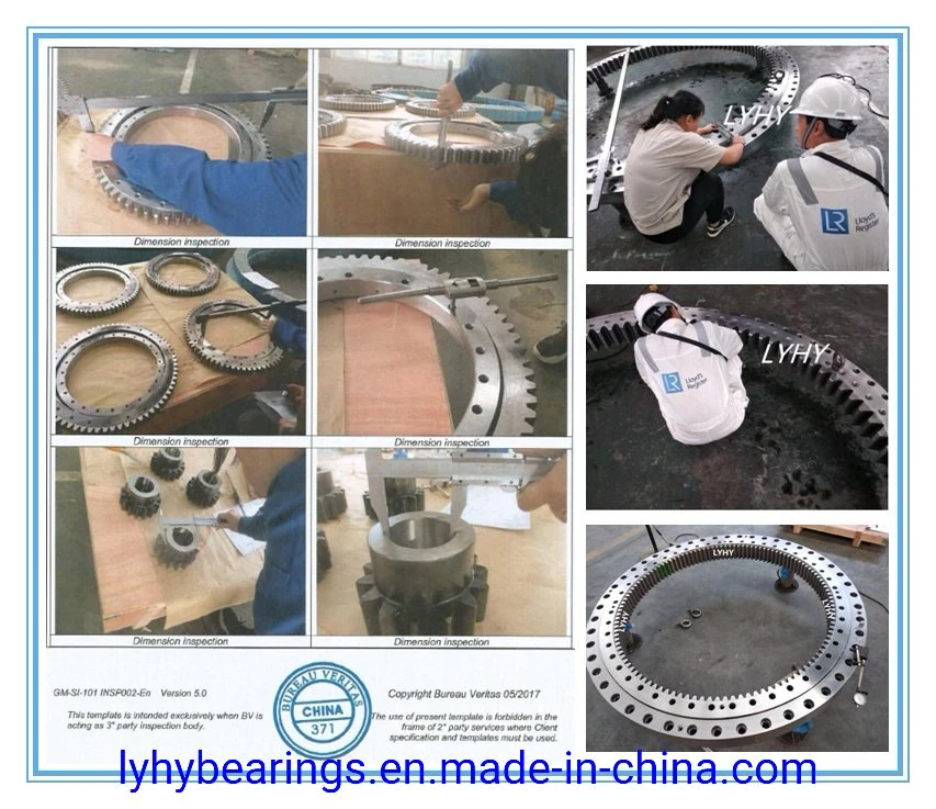 Ball Bearing Slewing Ring Bearing Turntable Bearing External Gear Teeth Bearing Rotary Bearing 31 0841 01