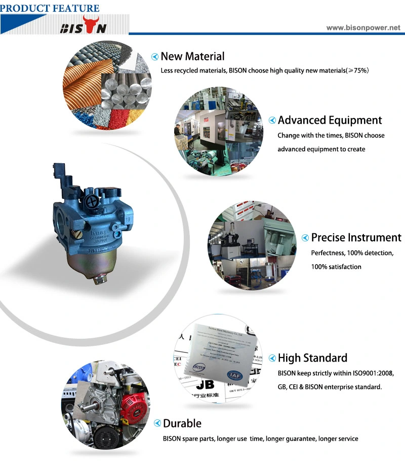 Bison Biogas Carburetor Generator 5 kVA Parts Carburetor LPG Kit