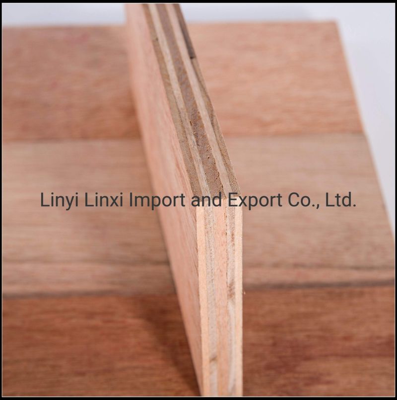 Pine/Okoume Veneer Commercial Marine Plywood for Furniture and Construction