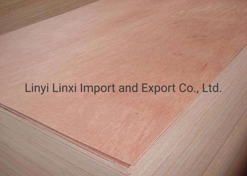 Pine/Okoume Veneer Commercial Marine Plywood for Furniture and Construction