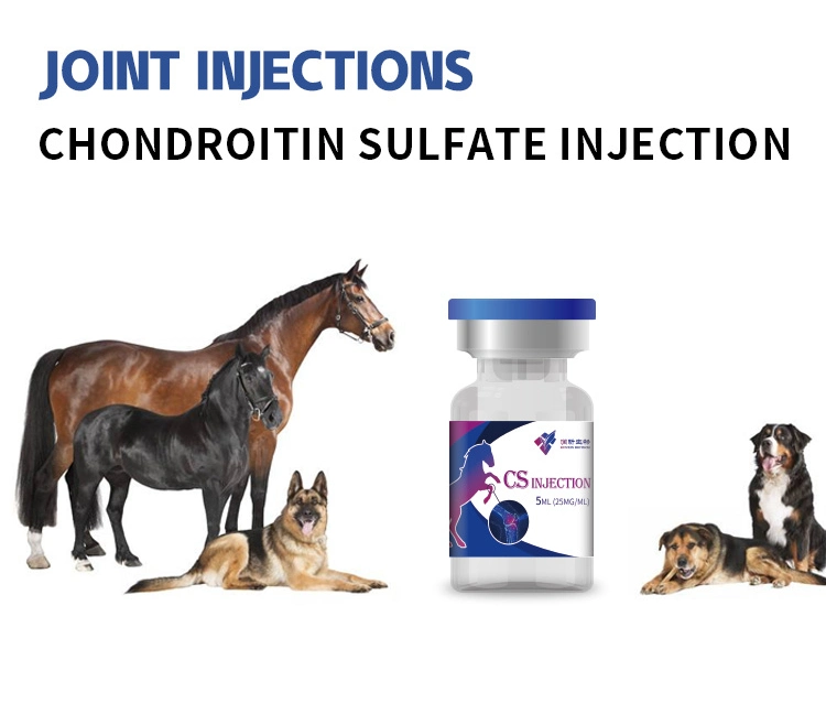 Chondroitin Sulfate Joint Injection CS Solution for Horse Supplier