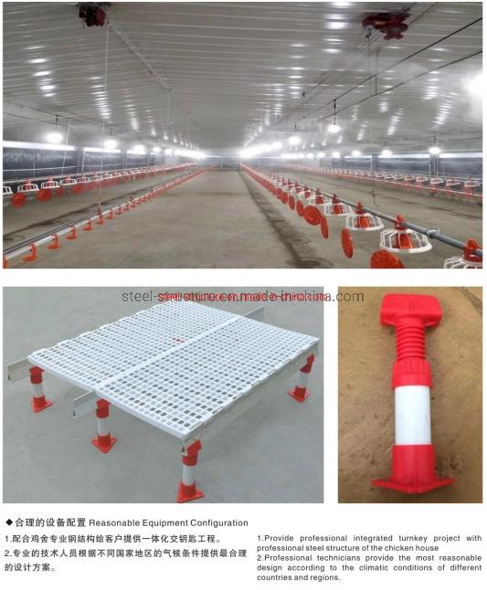 Economical Solution Poultry House Steel Structure Chicken House