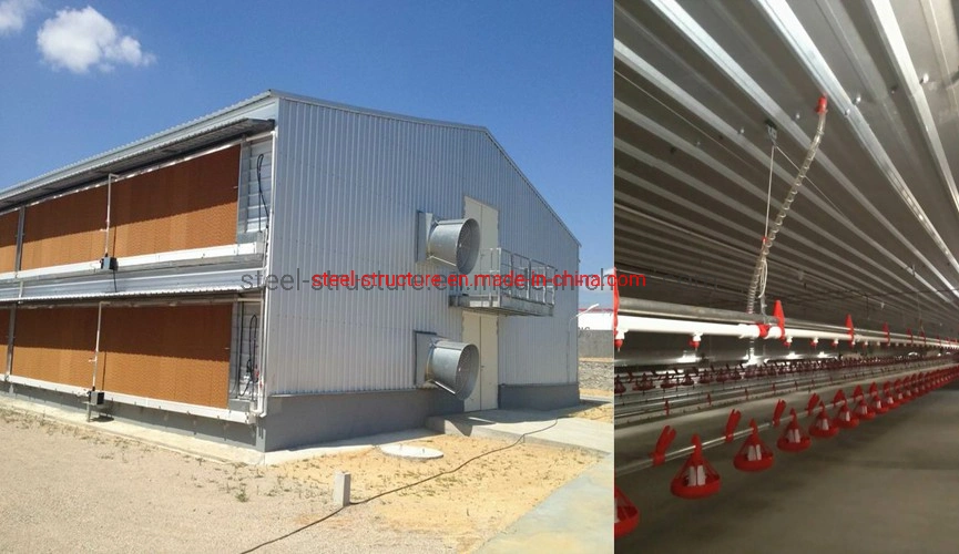 Economical Solution Poultry House Steel Structure Chicken House