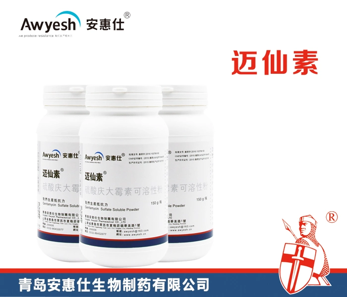 Veterinary Use GMP 30% Gentamicin Sulphate Soluble Powder for Poultry Intestinal Infections Oral Solution