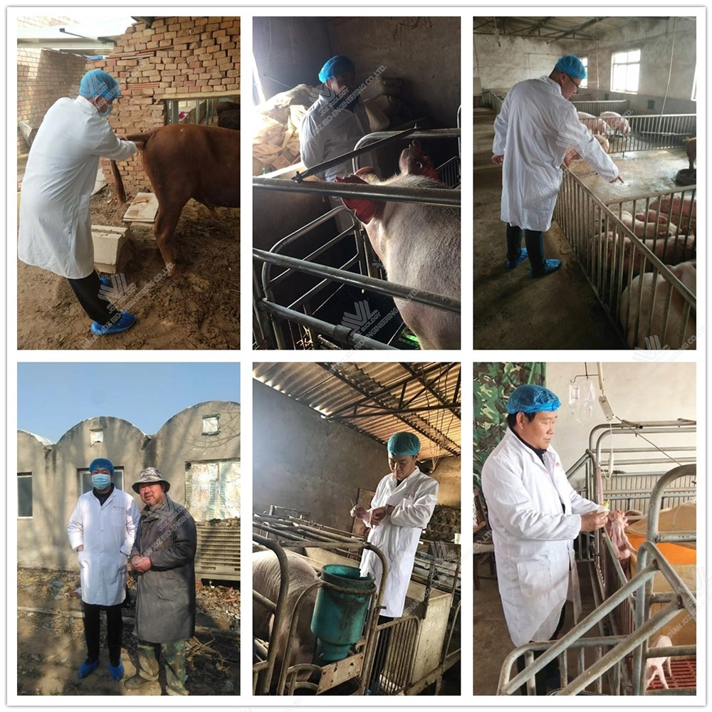 Multivitamin Chicken Feed Additives Animal Grade