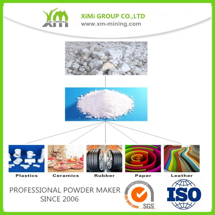 China Cheap Calcium Powder, Calcium Carbonate CaCO3