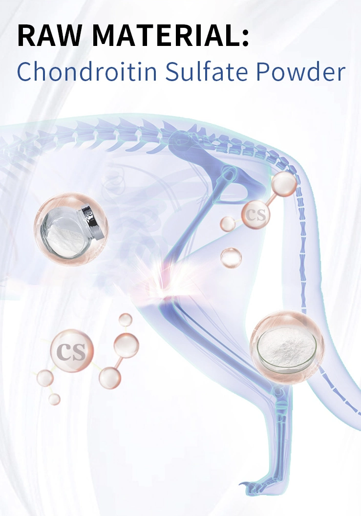 Chondroitin Sulfate Joint Injection CS Solution for Horse Supplier