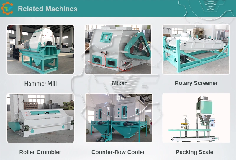 Top Manufacturers Animal Poultry Cattle Goat Feed Pellet Machine Price