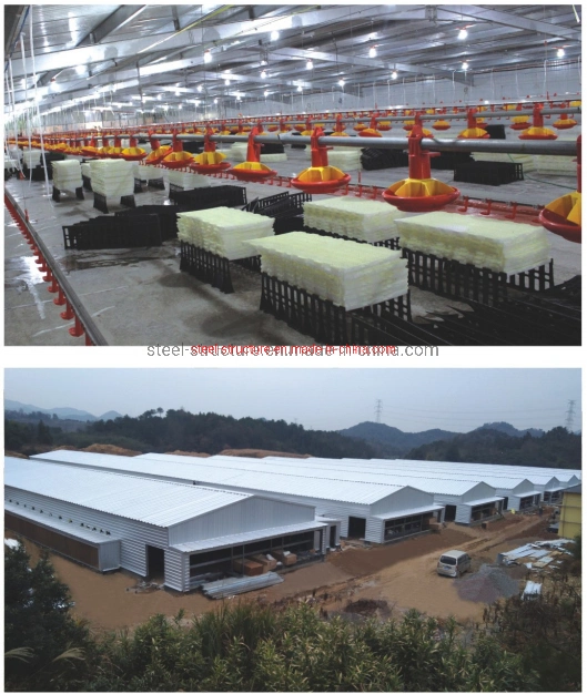 Economical Solution Poultry House Steel Structure Chicken House