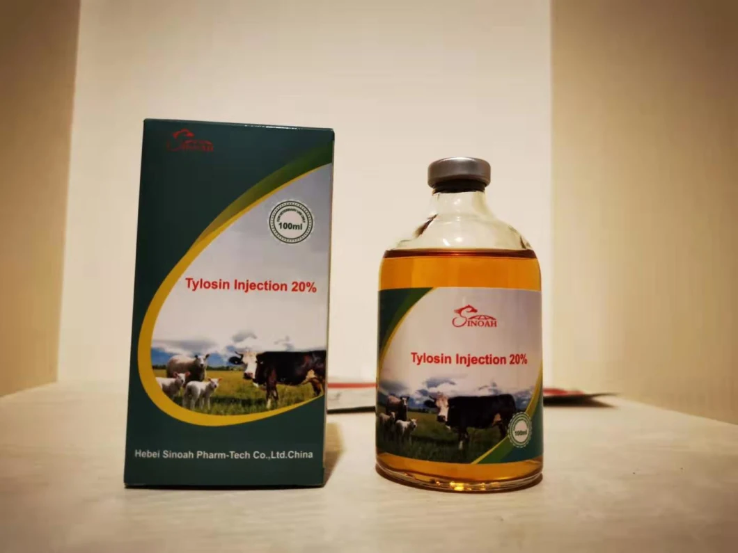 Veterinary Fenbendazole 10% Oral Solution for Sheep