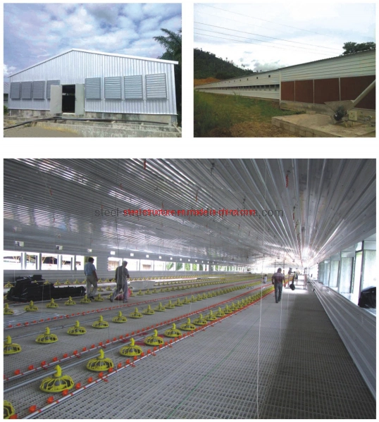 Economical Solution Poultry House Steel Structure Chicken House