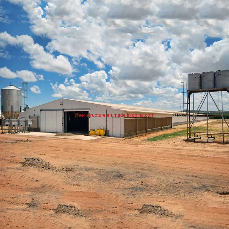 Economical Solution Poultry House Steel Structure Chicken House