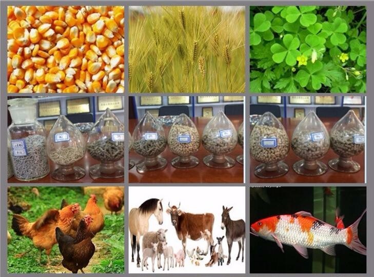 2020 Hot Selling Poultry Animal Food Flat Die Cattle Feed Pellet Machine