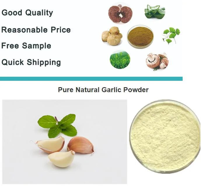 Bulk Garlic Powder for Horse, Bulk Garlic Powder for Cattle, Bulk Garlic Powder