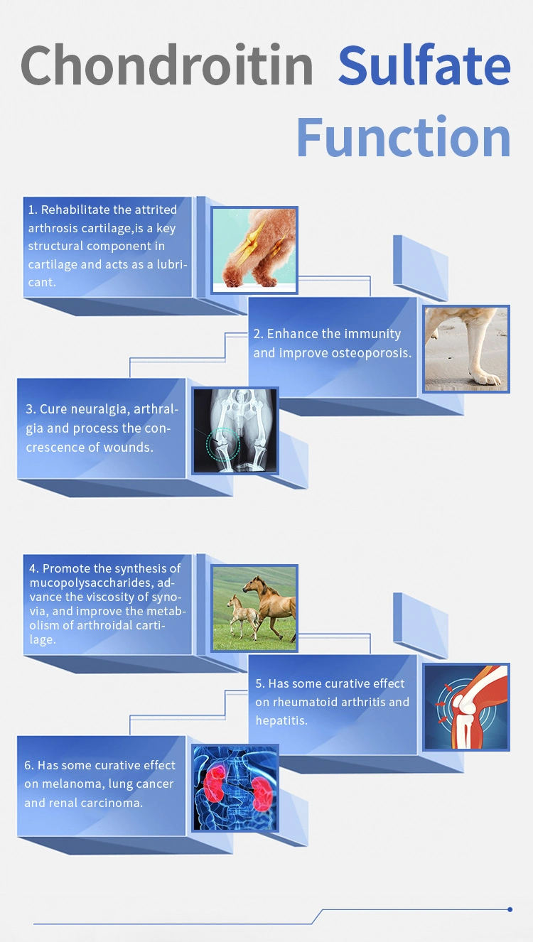 Chondroitin Sulfate Joint Injection CS Solution for Horse Supplier