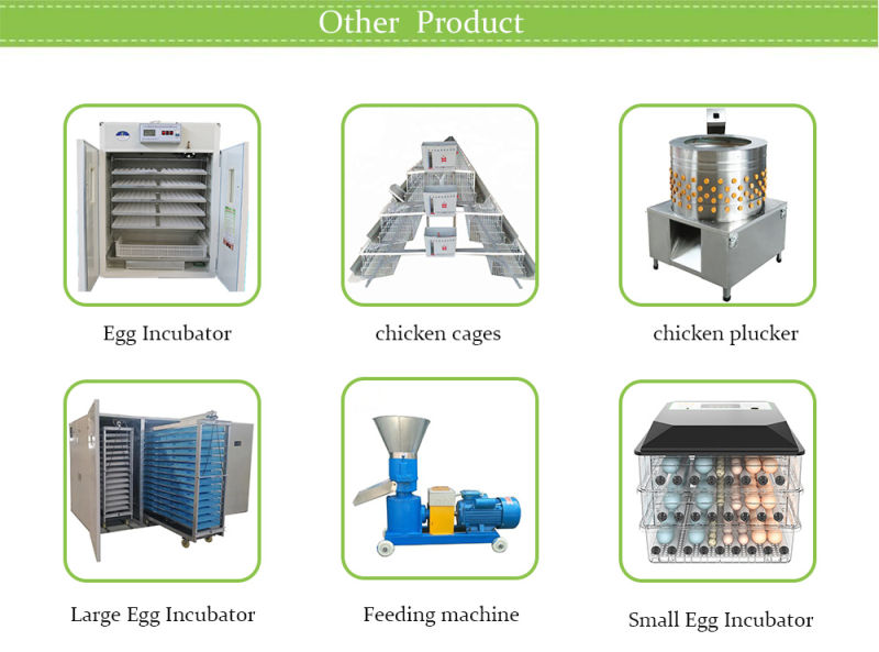 Brand New H Frame Feeding Cage for Broiler Chicken /Chicken Cage Broiler Equipment