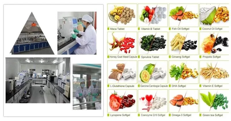 Made in China/Chemical/Food Grade Raw Material/Vitamin B2/Riboflavin, Vitamin B2