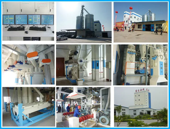 Sugar Cane Crushing Mill for Biomass