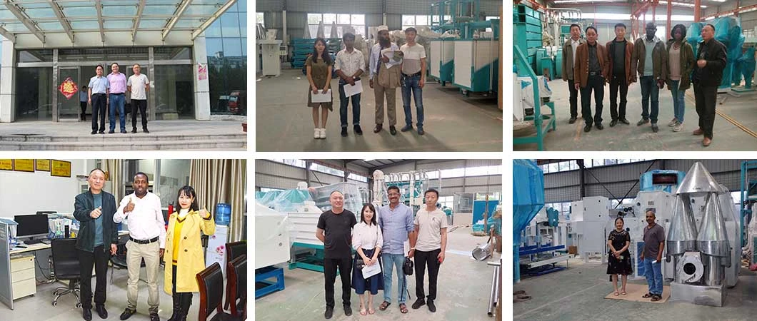 Pulverizer Flour Mill Rice Maize Flour Mill Machinery Prices