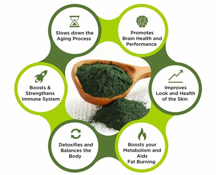 Wholesale Chlorella/Spirulina Powder