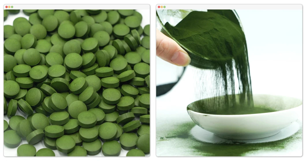 Wholesale Chlorella/Spirulina Powder