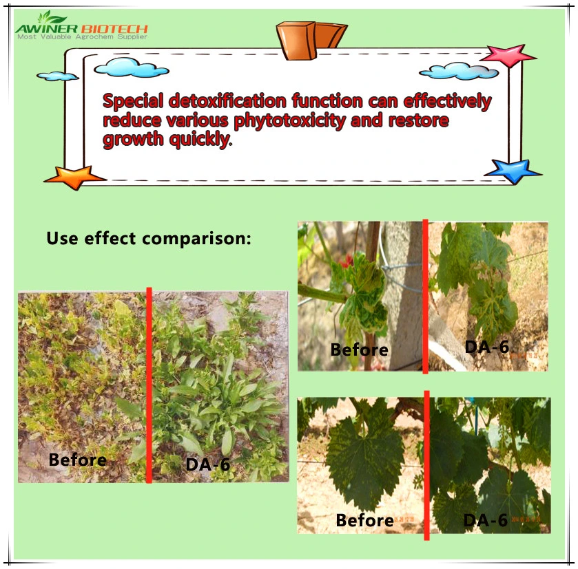 Increase Plants' Chlorophyll Content 98%Tc Da-6 (10369-83-2)