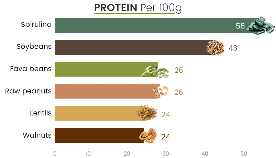 Wholesale Chlorella/Spirulina Powder