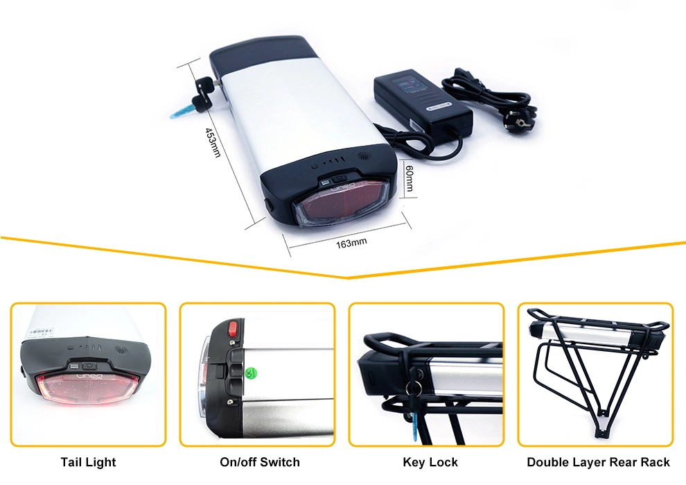 48V 10ah Chinese Cell Rear Rack Lithium Battery with Rear Light