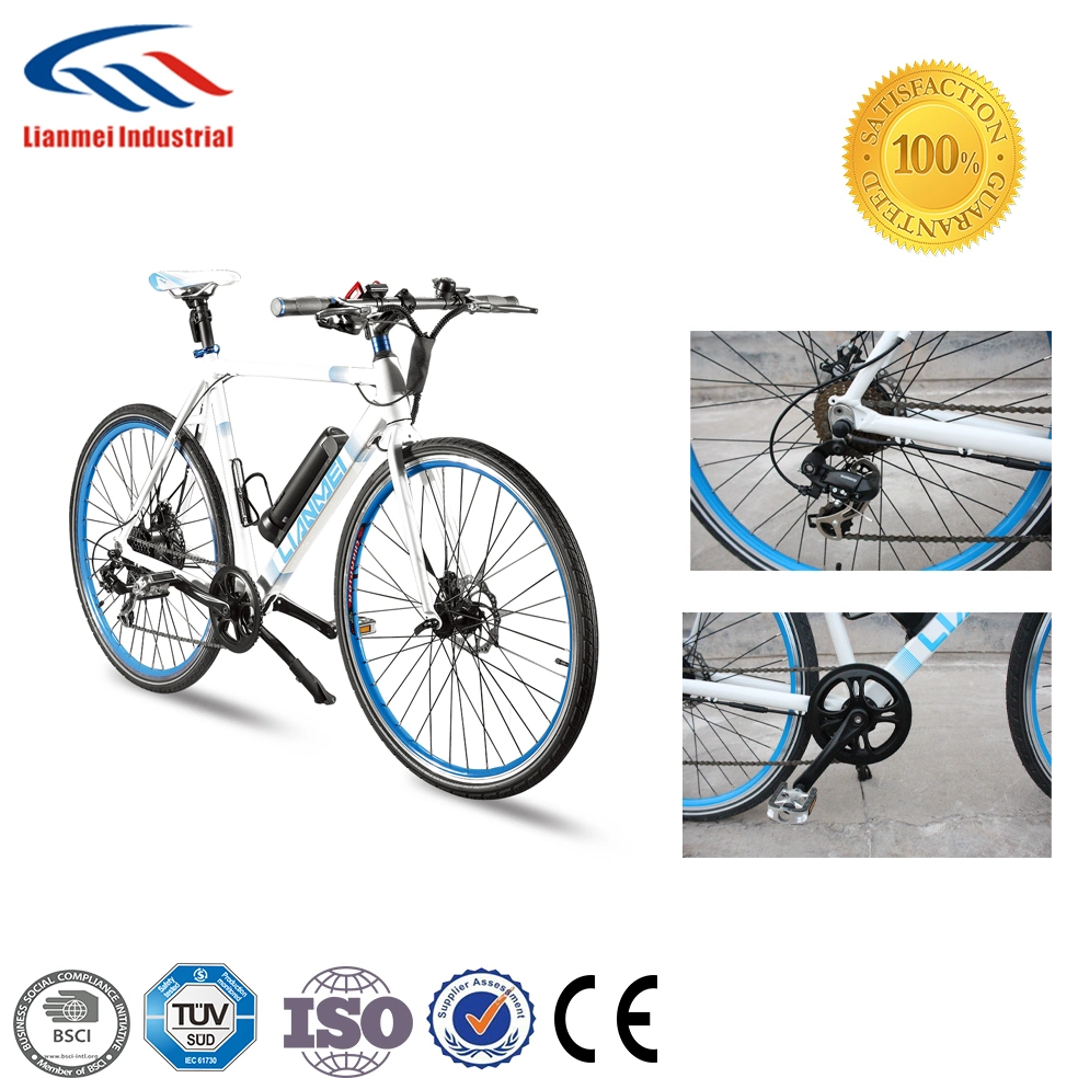 New Style Electric Bicycle Light Weight