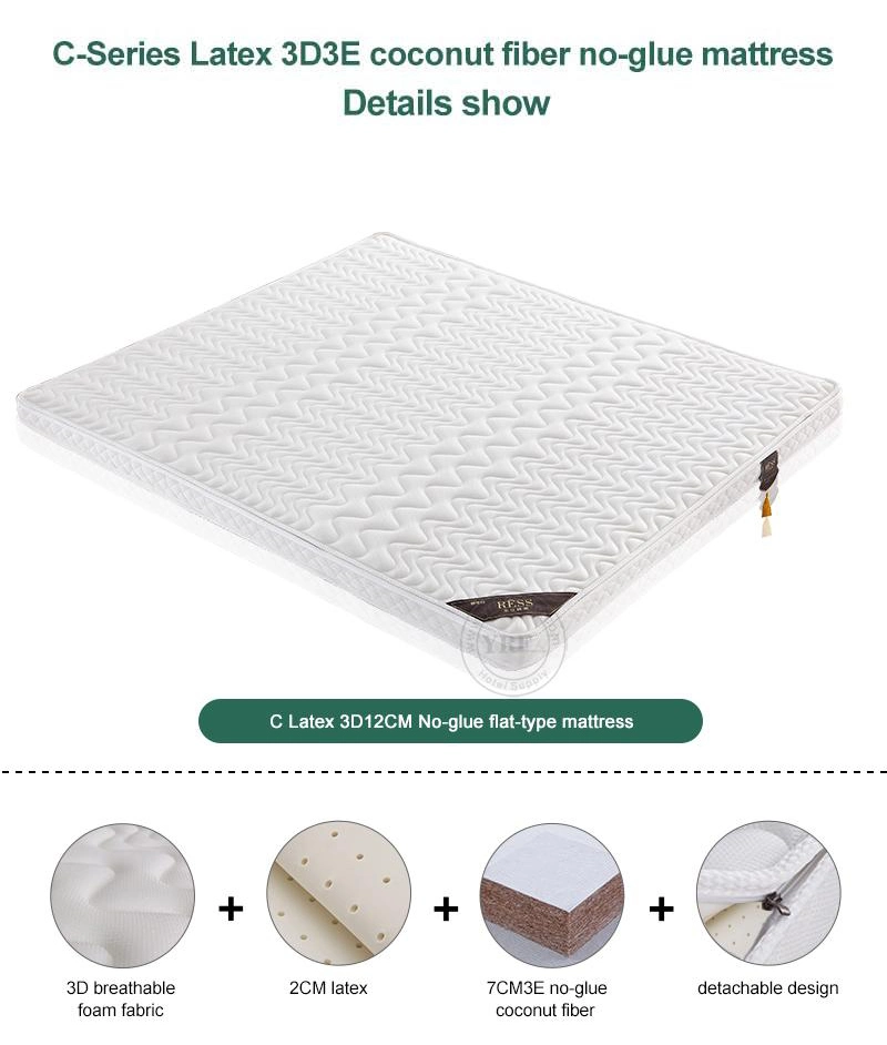 Home Foam Mattress Two Foldable Thick 10cm Single Bed