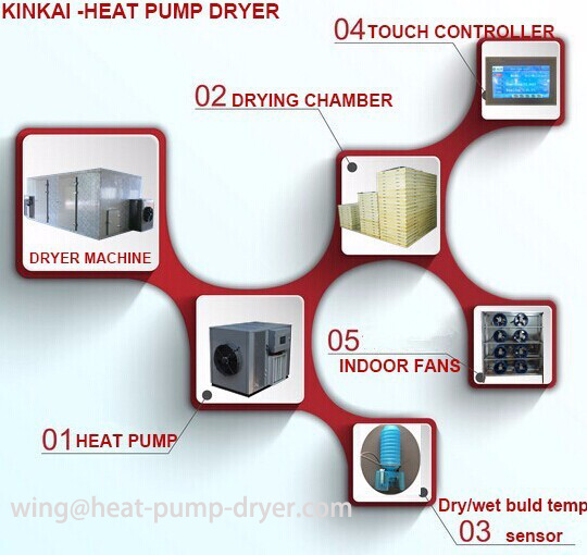 Industrial Drying Machine for Herb Moringa Leaf Drying Machine