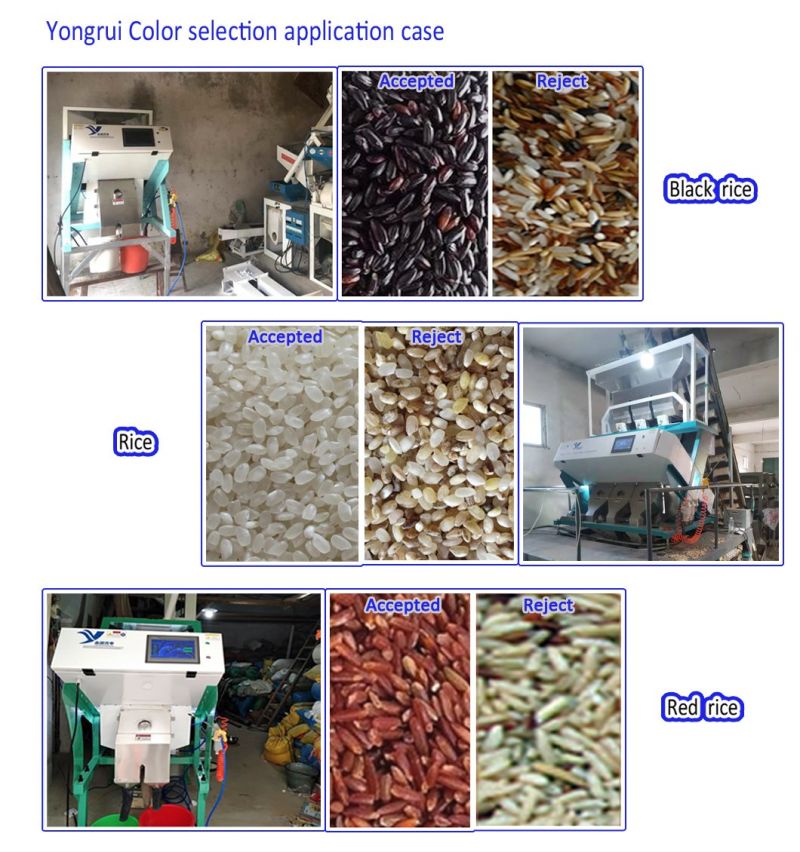 3 Chute LED Automatic Red Rice Color Sorter Machine