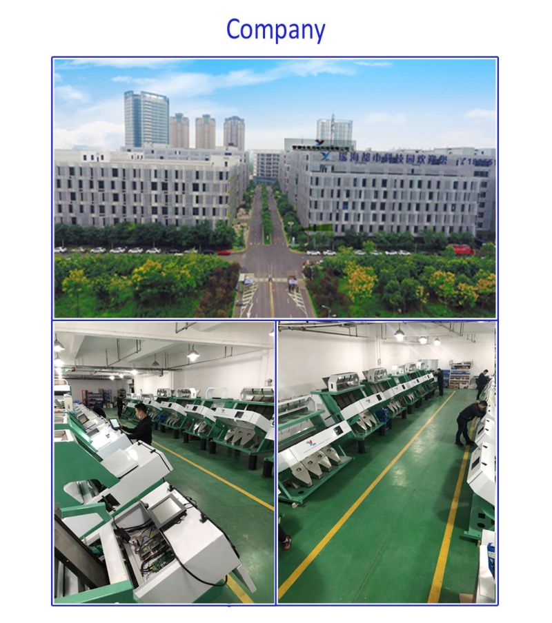 Beans Optical Sorter Machine CCD Color Sorter Machine