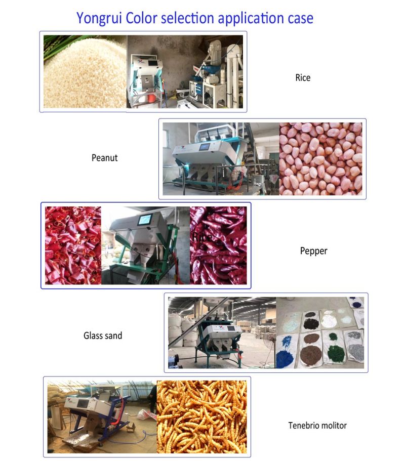 Professional Rice Color Sorter Colour Sorter with Nikon 5400 CCD Camera