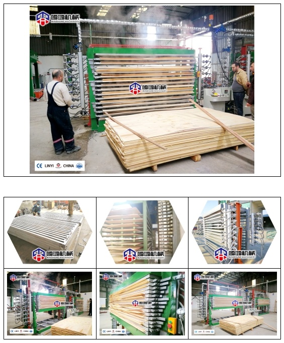 Veneer Machine Dryer Machine for Drying Core
