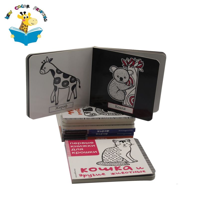 Children Study Board Book Series Books with Round Corners