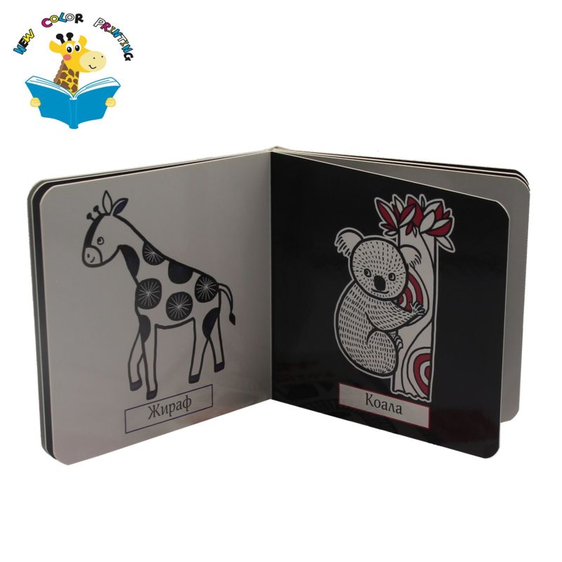 Children Study Board Book Series Books with Round Corners