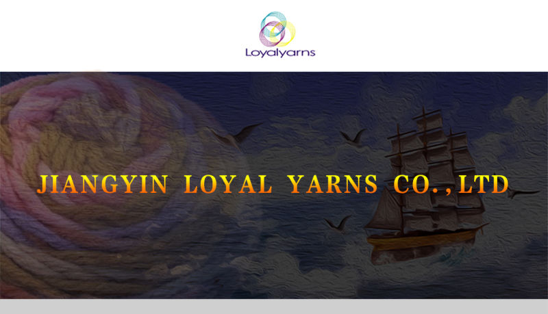 100% Bamboo Comfortable and Eco-Friendly Bamboo Fiber Yarn Ly-B020