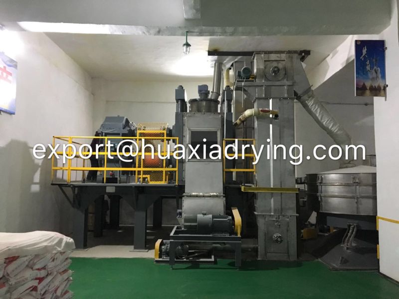 Garlic Granulator, Garlic Granulation Equipment, Garlic Granulation System