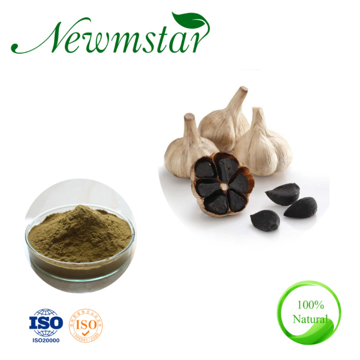Pure Fermented Black Garlic Extract 3% Polyphenols