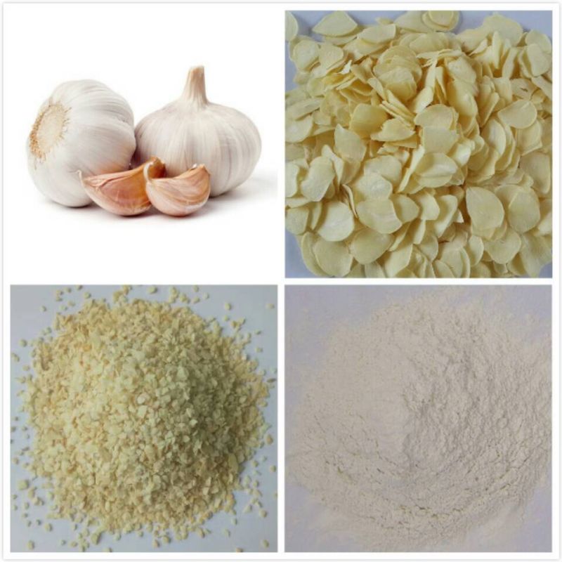 New Crop Ad Garlic Minced Garlic Granules Garlic Powder
