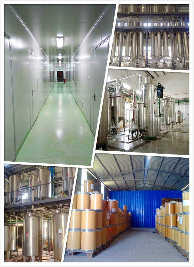 Vine Tea Extract 98% Dihydromyricetin Dhm Powder